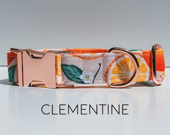 Clementine Dog Collar - Oranges Pet Collar, Peach, Green, Orange, Yellow, Light Pink, Polka Dog, Fruit, Summer, Made in the USA