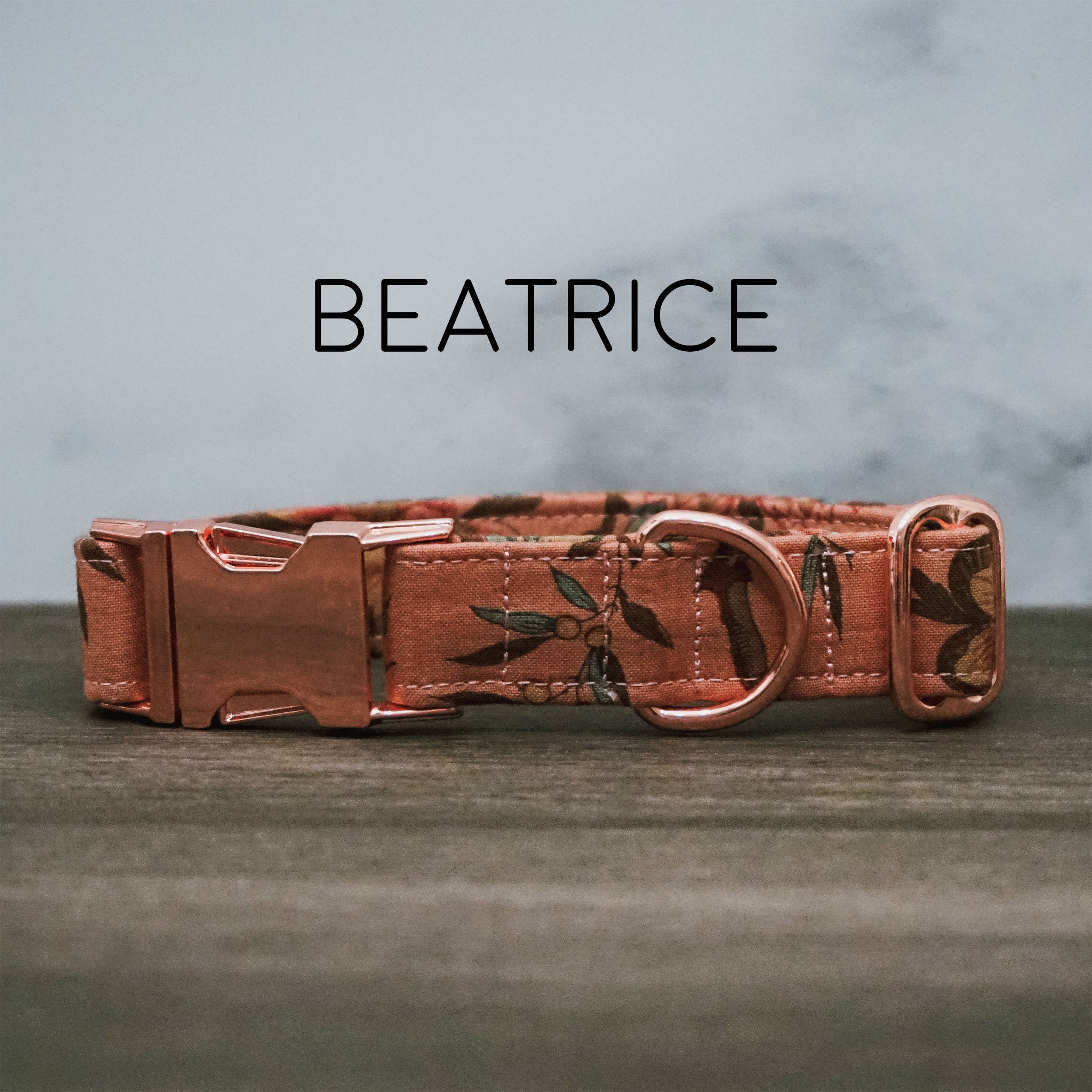 Burgundy dog collar Schweiz