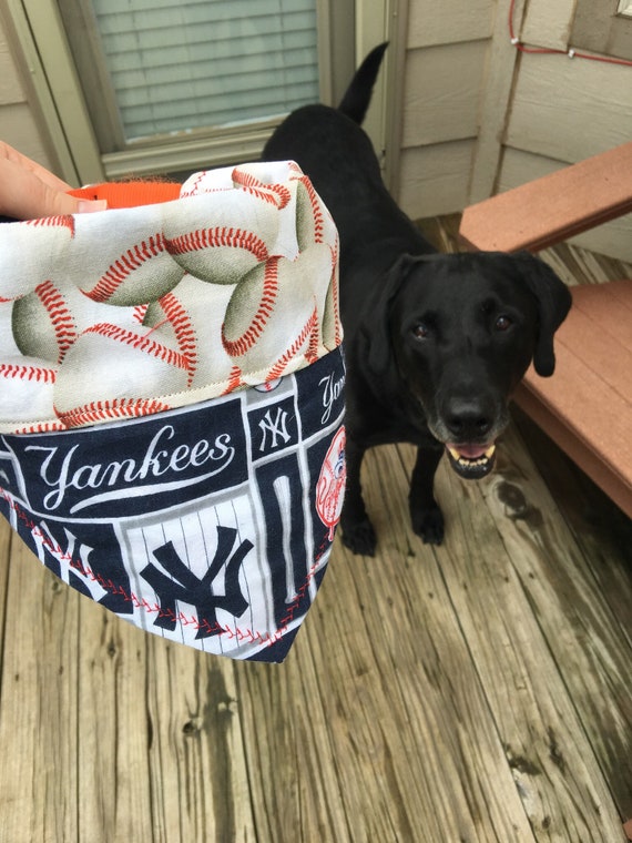 new york yankees dog jersey