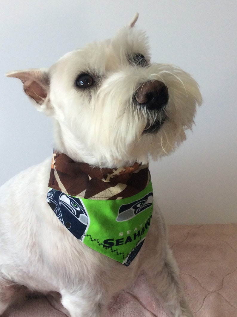 seahawks dog jersey