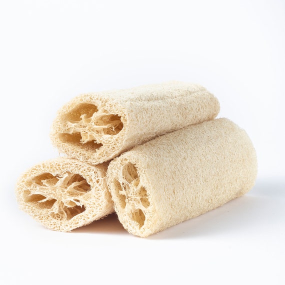 16cm / 6 Natural Loofah Natural Luffa Sponge Loofah Etsy