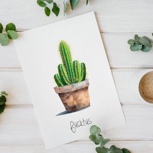 Postkarte - Fucktus - lustige Sprüche Postcard Kunstpostkarte schöne Postkarte Geburtstag Kündigung Glückwunschkarte Fuck Set Buch-Marie