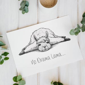 Postkarte- No Drama Lama -  lustige Sprüche Postcard Kunstpostkarte schöne Postkarte Geburtstag Hochzeit Glückwunschkarte  Set Buch-Marie