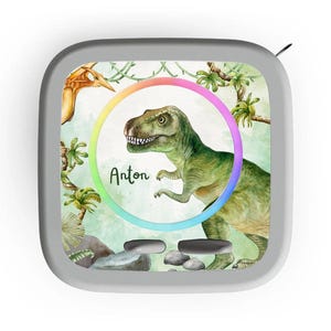 Könnte beinhalten: Ein graues, quadratisches Objekt mit einem Dinosaurier-Design. Das Design zeigt einen grünen T-Rex, einen Pterodactylus und den Namen "Anton" in einem farbenfrohen Kreis. Der Hintergrund hat ein Dschungelthema mit Pflanzen und Felsen.