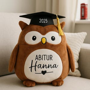 Regalo de graduación personalizado Búho Squidgy Peluche Peluche Graduación Médico Estudiantes Exámenes Felicitaciones académicas 29 cm