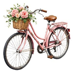 electric bicycle rear wheel conversion kit 20