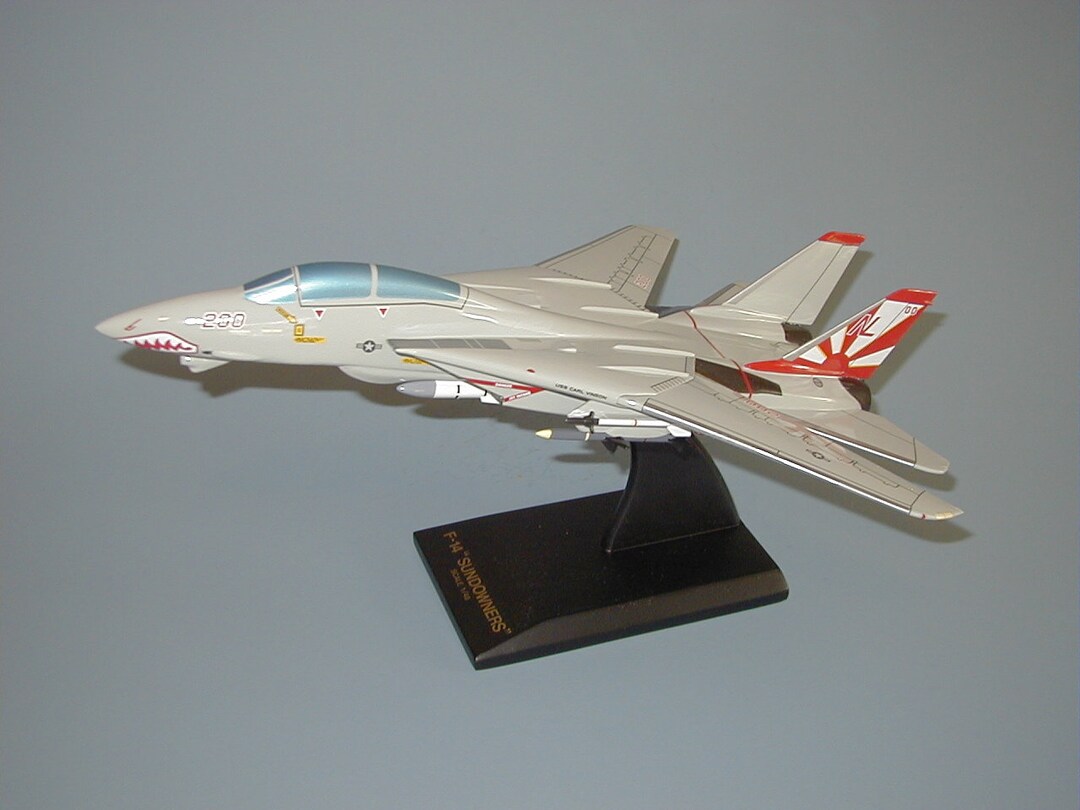 F-14 F14 Tomcat Grumman Navy Air Defense Fighter VF-111 Sundowners ...