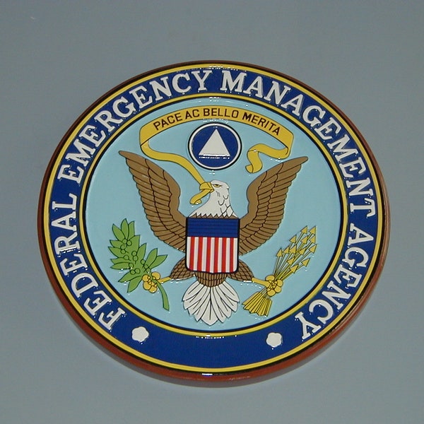 Fema Art Wall - Etsy