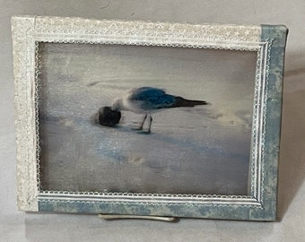 Framed Art - Bahama Seagull. Double layer photograph creates a 3-Dimensional Holographic look. Framed. Ready to hang.