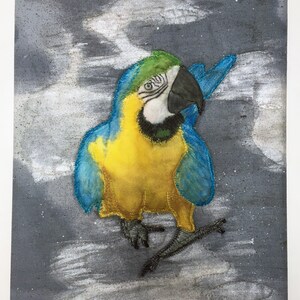 Quilt op Canvas - Macaw Walking (Blauw & Geel) van Costa Rica, 3D Photo Quilt op Canvas, 12 "X 16"