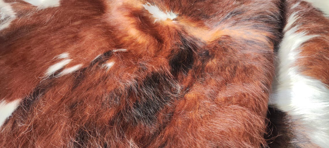 Tricolor, High Quality Cowhide Rug, Hair on Hide, Koeienhuid, Kuhfell