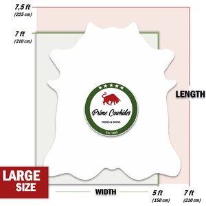 May include: Diagram showing the size of a large cowhide, measuring 7 feet by 5 feet. The cowhide is white and has a green circle with a red bull logo and the text "Prime Cowhides HIDES & SKINS Est. 1889".