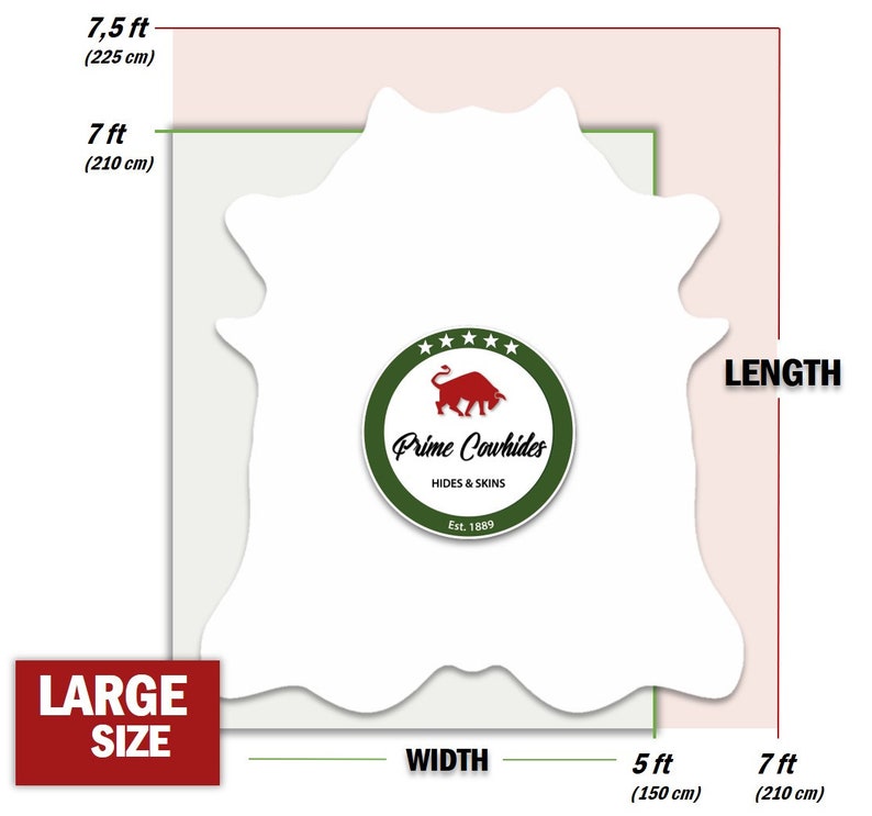 May include: Diagram showing the size of a large cowhide, measuring 7 feet by 5 feet. The cowhide is white and has a green circle with a red bull logo and the text "Prime Cowhides HIDES & SKINS Est. 1889".