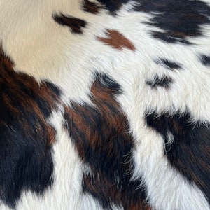 Tricolor, High Quality Cowhide Rug, Hair on Hide, Koeienhuid, Kuhfell Teppich, 7 f Ft x 6.4 Ft, Code: AW92 image 5