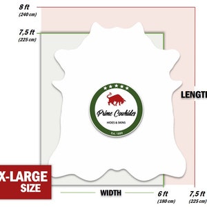 May include: Diagram showing the dimensions of an X-Large cowhide. The hide is white and measures 7.5 feet by 6 feet. The text "Prime Cowhides" is in a green circle with a red bull logo and the text "Hides & Skins" and "Est. 1889".