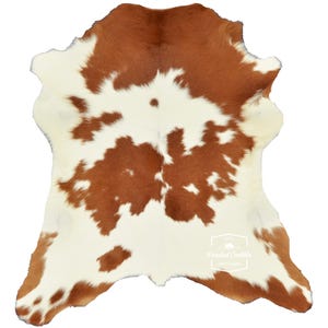 May include: A brown and white cowhide rug with a natural, rustic look. The hide has a unique pattern of brown patches on a white background.