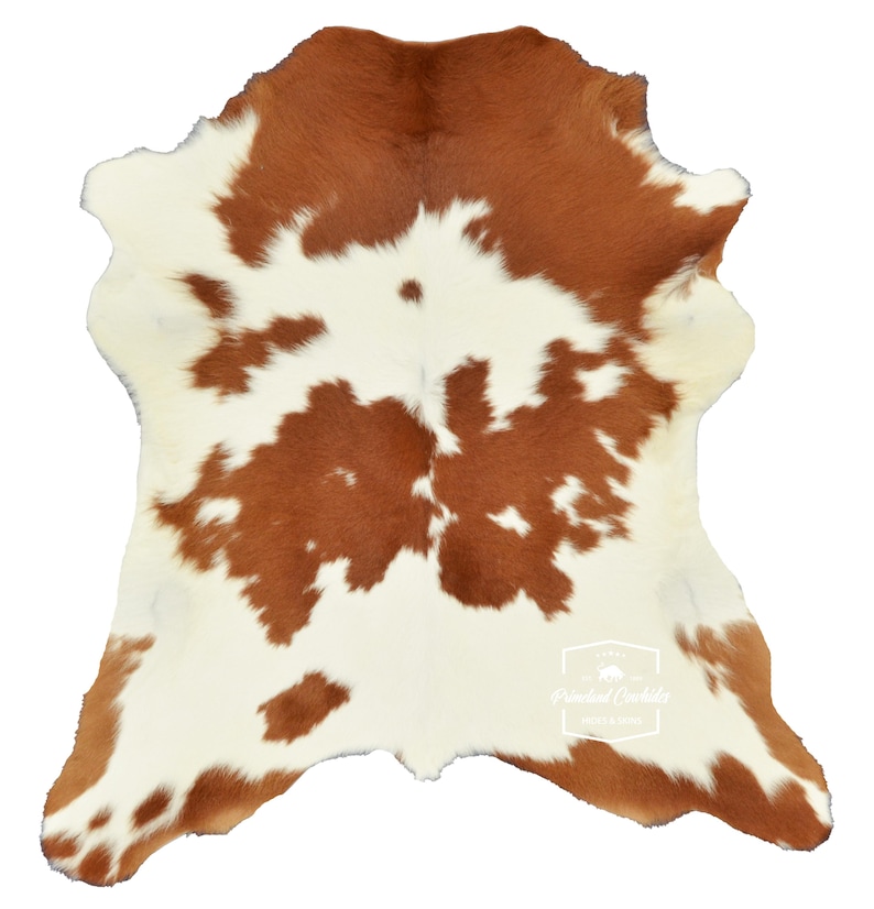May include: A brown and white cowhide rug with a natural, rustic look. The hide has a unique pattern of brown patches on a white background.