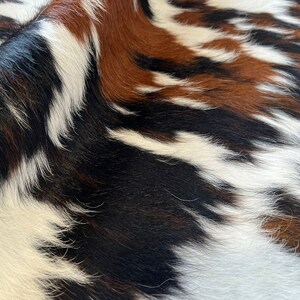 Tricolor, High Quality Cowhide Rug, Hair on Hide, Koeienhuid, Kuhfell Teppich, 7 f Ft x 6.4 Ft, Code: AW92 image 4
