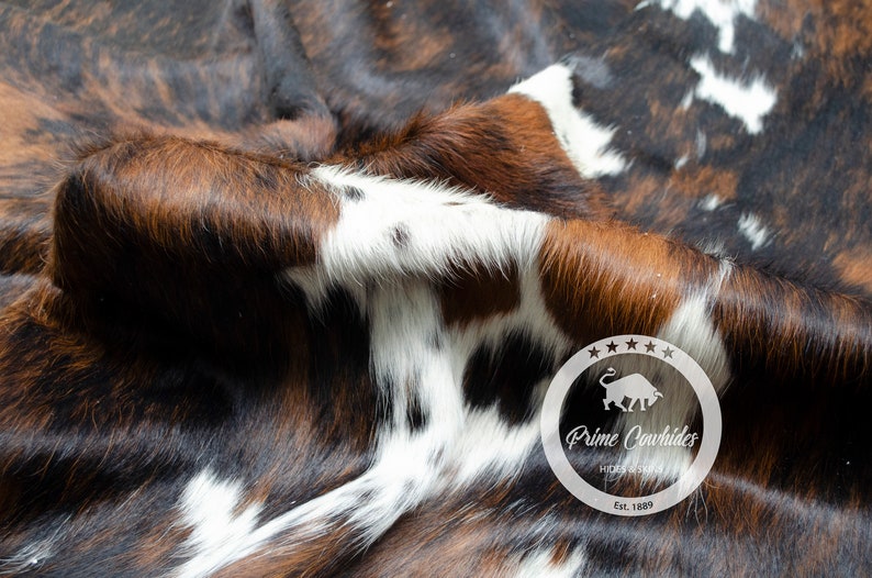 Tricolor High Quality Cowhide Rug, Hair on Hide, Koeienhuid, Kuhfell Teppich, Peau de vache Sizes: M L XL Jumbo image 3