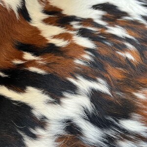 Tricolor, High Quality Cowhide Rug, Hair on Hide, Koeienhuid, Kuhfell Teppich, 7 f Ft x 6.4 Ft, Code: AW92 image 6