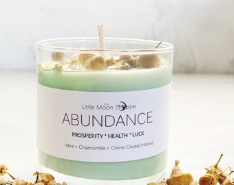 Abundance Money Crystal Infused Candle Prosperity Spell Money Ritual Manifestation Tool Crystal Herb wealth Candle