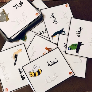 Peut inclure: Un ensemble de cartes mémoire avec différents animaux et leurs noms écrits en arabe. Les animaux comprennent un koala, un pingouin, un perroquet, une abeille, un oiseau et un tigre. Les cartes mémoire sont blanches avec des bordures noires et ont un logo arc-en-ciel dans le coin.