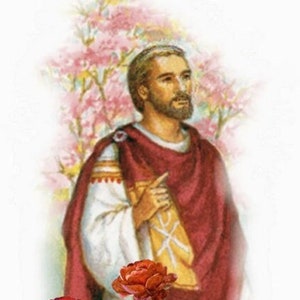 ST. VALENTIJNSKAART - Heilige kaart - Gebedskaart - Pak van 25