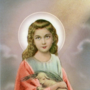 ST. AGNES - Heilige kaart - Gebedskaart - Pak van 25