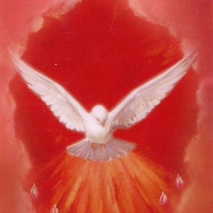 Ven, Espiritu Santo N - Holy card - Prayer card -Pack of 25
