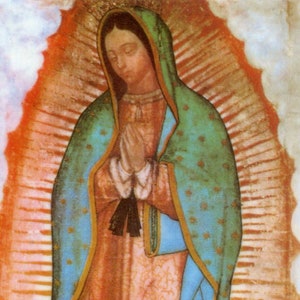 Oracion Que se ha decir todos los dias N - Holy card - Prayer card -Pack of 25