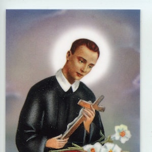 ST. GERARD (Preghiera per un parto sicuro) - Santino - Biglietto di preghiera - Confezione da 25