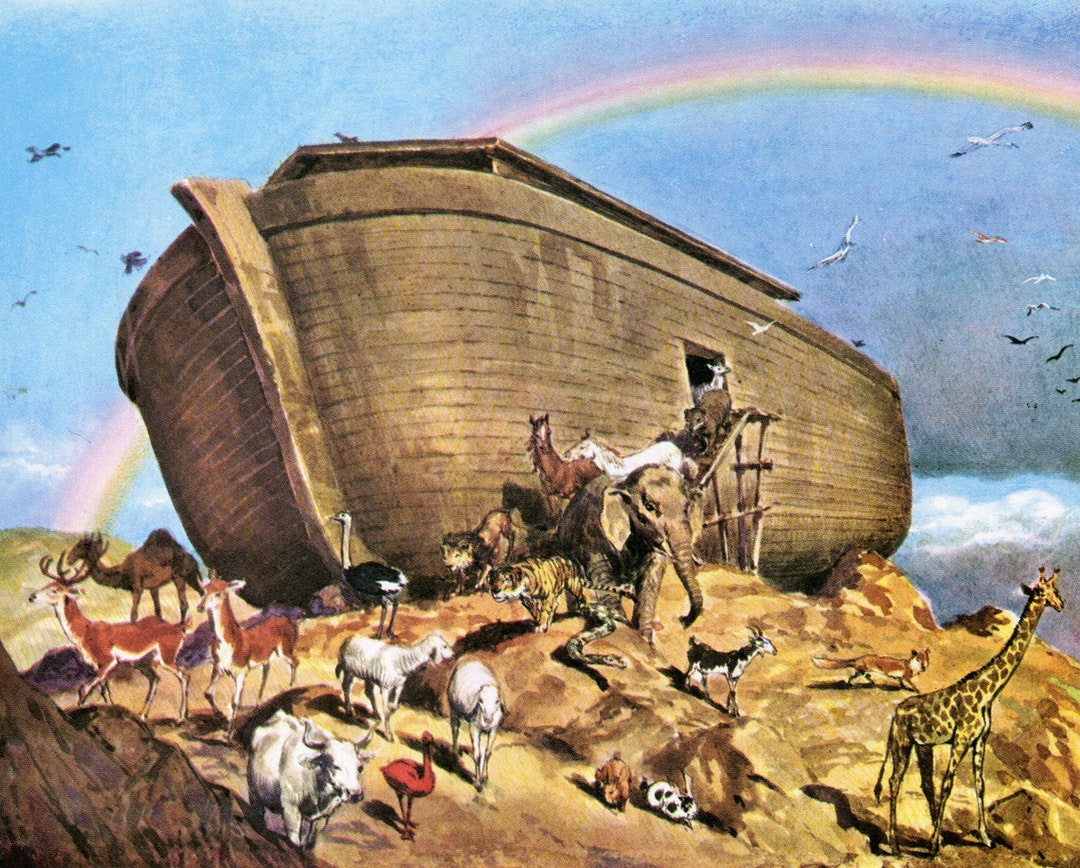 The Ark Comes to Rest T Catholic Picture Print Etsy