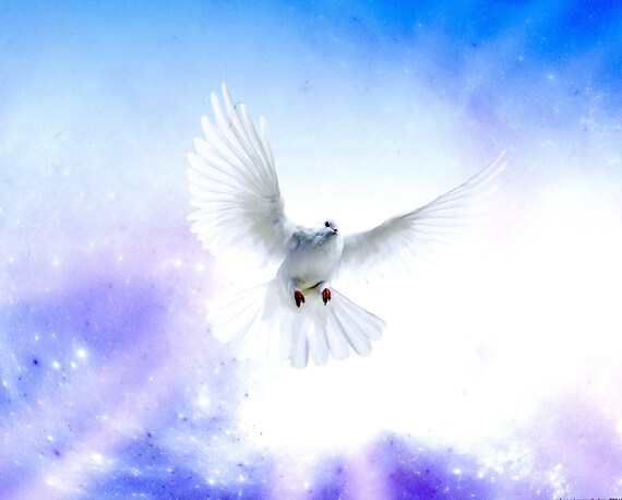 Holy Spirit Dove R Catholic Picture Print | Etsy