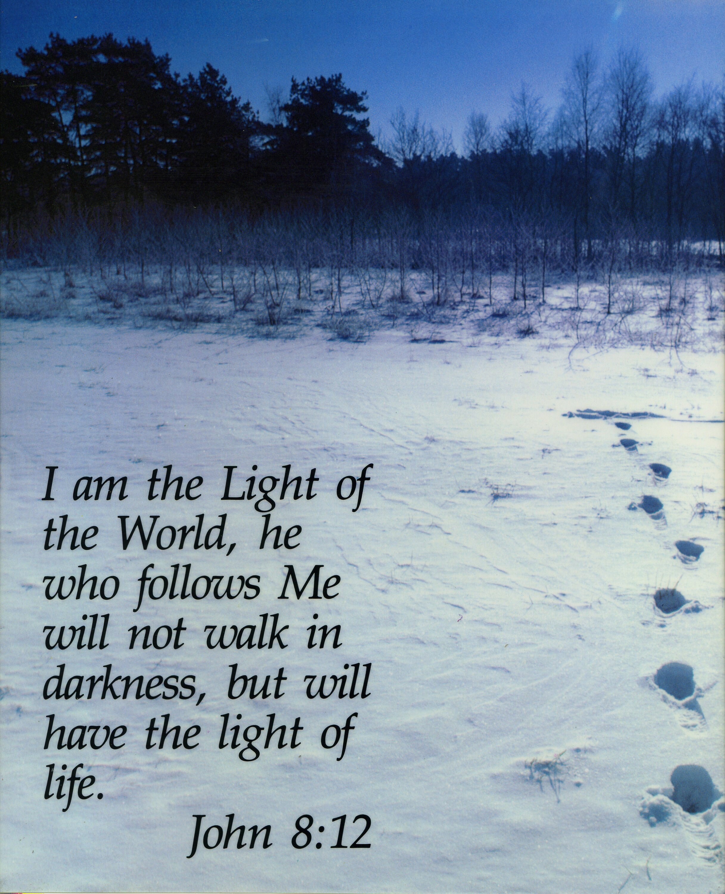 JOHN 8: 12 Catholic picture print | Etsy