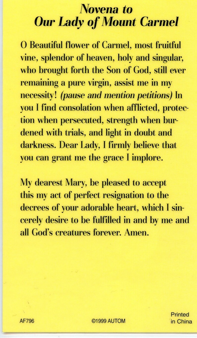Our Lady of Mt. Carmel 2 - Holy Card - Prayer Card -pack of 25 - Etsy