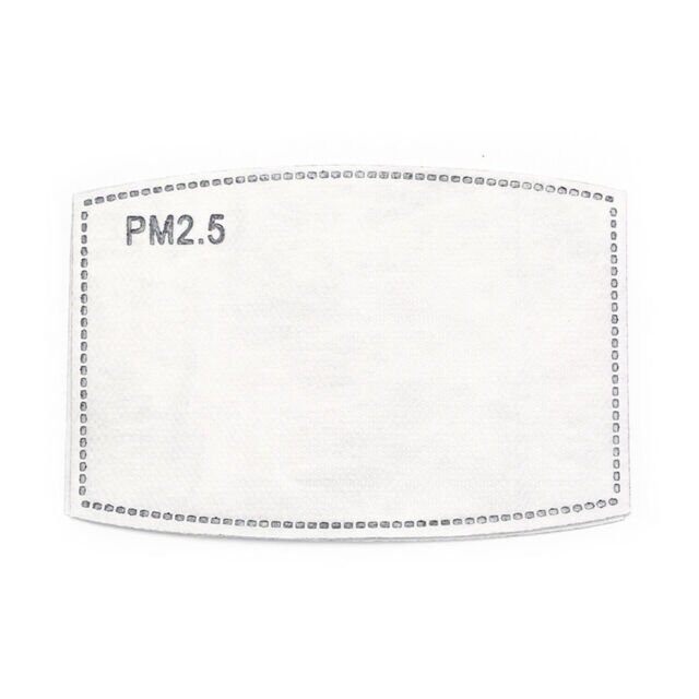 PM2.5 Filter