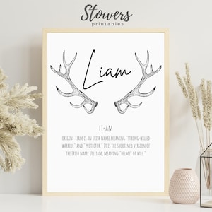 Liam Name Sign, Baby Name Signs, Name Print, Wall Art, Minimalist Print, Minimalist Art, Modern Art, Modern Poster Print, Boy Names