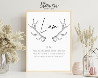 Liam Name Sign, Baby Name Signs, Name Print, Wall Art, Minimalist Print, Minimalist Art, Modern Art, Modern Poster Print, Boy Names