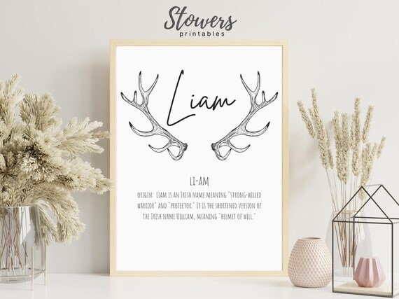 Liam Name Meaning Print, Name Print, Wall Art, Minimalist Print, Minimalist  Art, Modern Art, Modern Poster Print, Digital Download