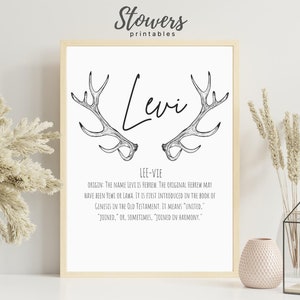 Levi Name Sign, Baby Name Signs, Name Print, Wall Art, Minimalist Print, Minimalist Art, Modern Art, Modern Poster Print, Boy Names