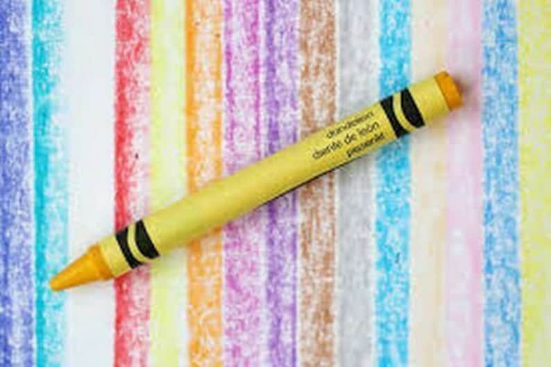 96 NEW CRAYOLA Dandelion Crayons. in the 4 Pack LIMITED Etsy