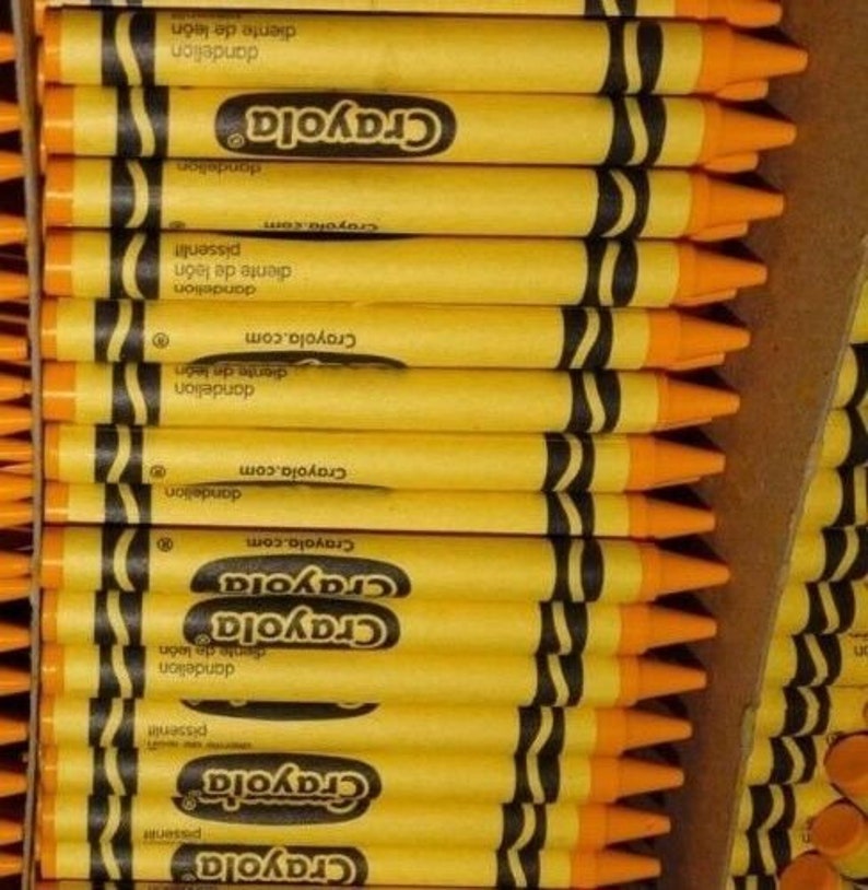 24 NEW Crayola DANDELION Crayons . In the 4 pack LIMITED Etsy