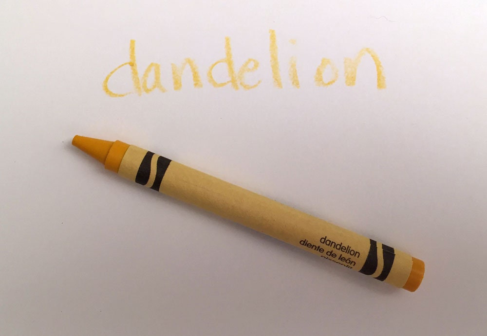 Crayola to Discontinue Dandelion Crayon — Get Them Here Now
