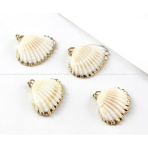 shell Real Sea Snail shell Gold plated Cowrie charm Pendant with Ring connector DIY Jewelry Accessories Findings Wholesale Supplies nn485-11