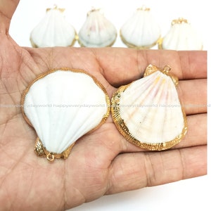 Natural Real Shell White Unique Gold plated 40x34mm Screw Cowrie Ocean charm Beach Pendant Jewelry Findings Wholesale Supplies nn519-AA