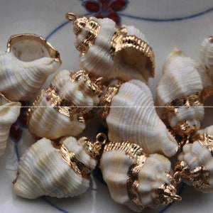 Bulk 10pcs Natural Sea Shell Gold plated pendant seashell beach jewelry Ocean charm Bracelet jewelry Findings Wholesale Supplies np572-G6