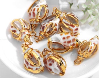 shell pendant shell charm Gold Natural Real Cowrie Shell Gold plated Snail beach jewelry Ocean charm Findings Wholesale Supplies np577-HH
