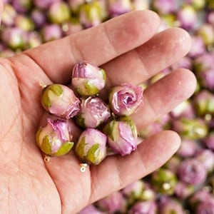 Puede incluir: Una mano sosteniendo una colección de pequeños amuletos de capullo de rosa rosa y verde. Los amuletos están hechos de resina y tienen una apariencia realista.