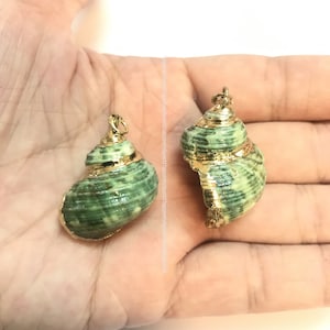 May include: Two green and gold seashell pendants with a gold loop for hanging. The shells are a light green with gold accents and have a spiral shape.