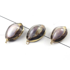 Unique Gold plated Real Sea Snail shell Cowrie charm Pendant with Ring connector DIY Jewelry Accessories Findings Wholesale Supplies nn485-5